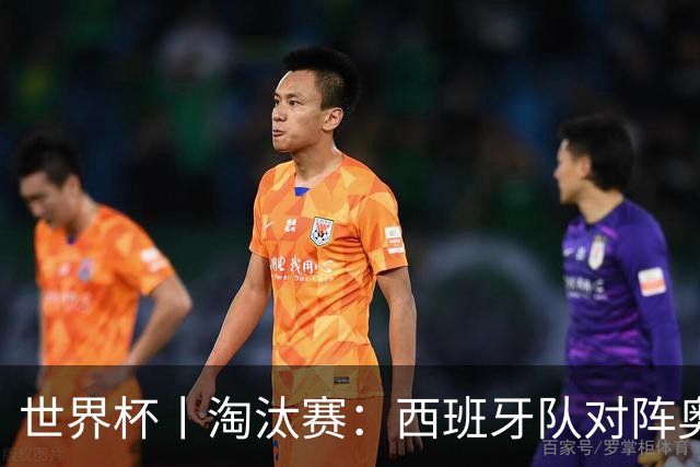 世界杯丨淘汰赛：西班牙队对阵奥地利队