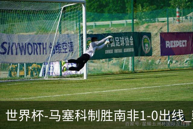 世界杯-马塞科制胜南非1-0出线 韩国积3分获小组第三待定