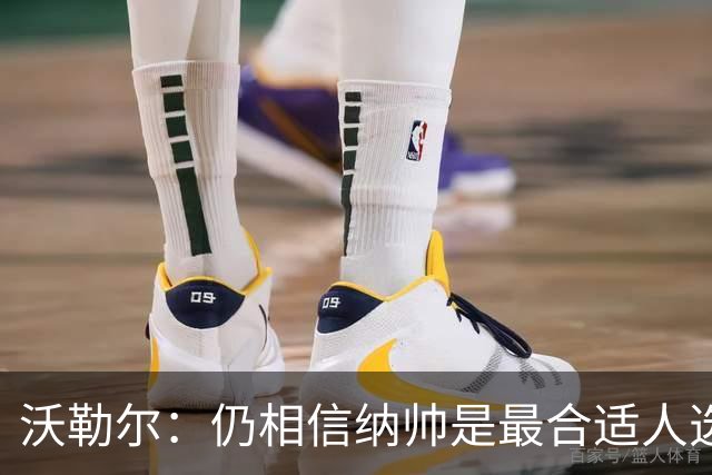 沃勒尔：仍相信纳帅是最合适人选 德国很难接受近3届世界杯表现