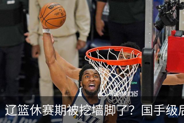 辽篮休赛期被挖墙脚了？国手级后卫恐被交易：变相逼着赵继伟走人